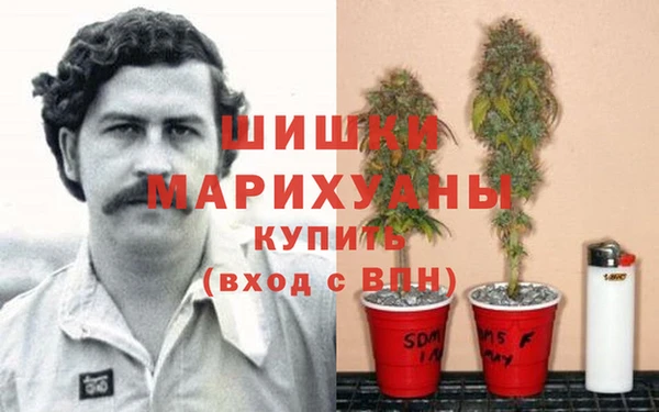 герыч Няндома