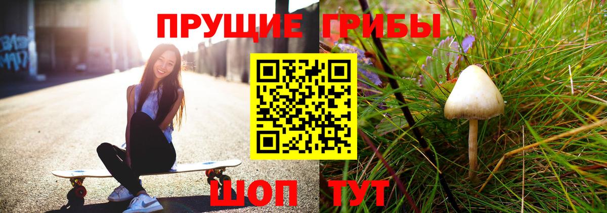 Санкт-Петербург  Псилоцибиновые грибы мухоморы  Вход с VPN 