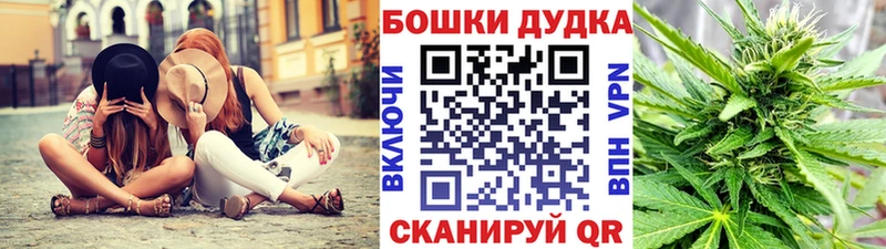 Бошки марихуана марихуана  МЕГА маркетплейс  Санкт-Петербург 
