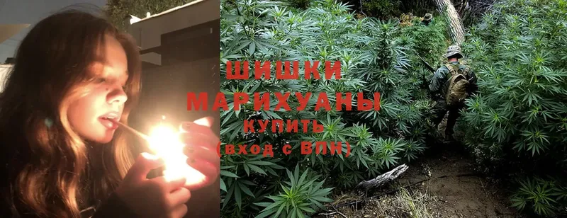 Каннабис White Widow  OMG ССЫЛКА  Санкт-Петербург 